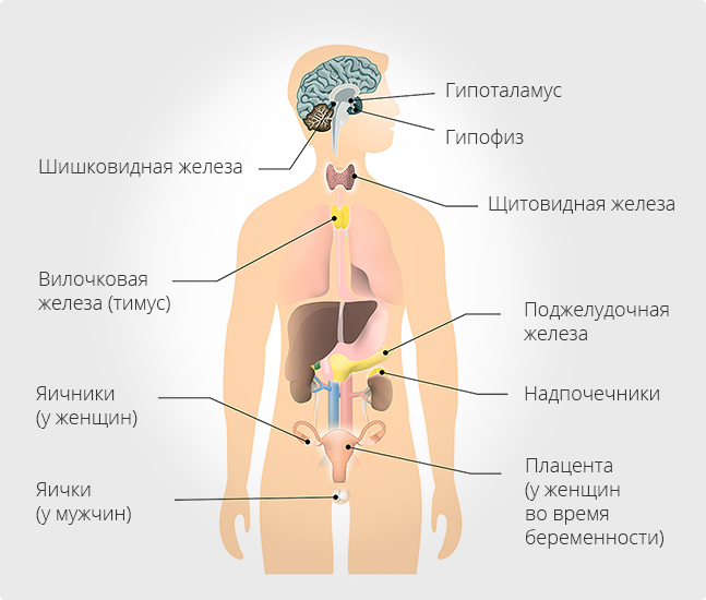 Эндокринная хирургия г. Ханты-Мансийск